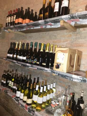 141782635_741820426465707_1188321463949639223_n